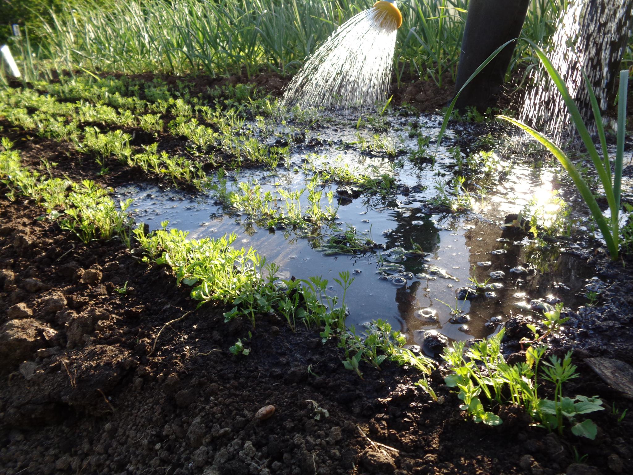 В Темрюке решили временно отключать воду